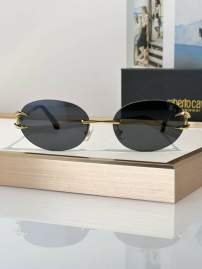 Picture of Roberto Cavalli Sunglasses _SKUfw79280023fw
